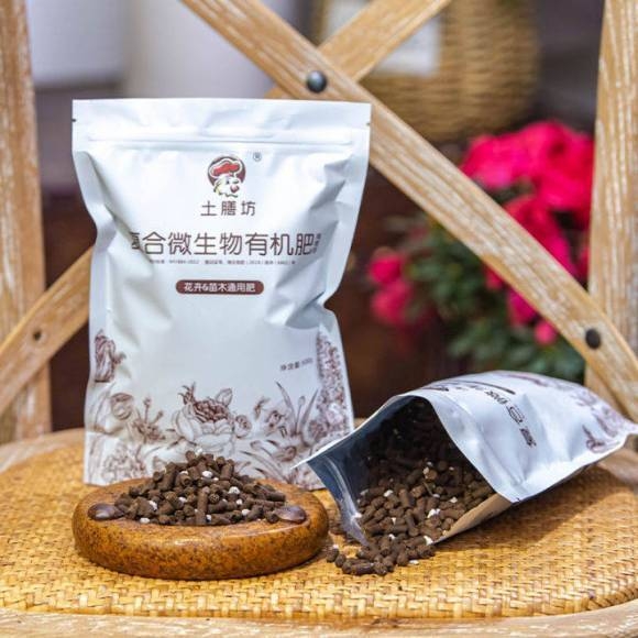 金粟蘭的花語，養(yǎng)殖金粟蘭的方法及注意事項